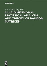 bokomslag Multidimensional Statistical Analysis and Theory of Random Matrices