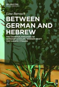 bokomslag Between German and Hebrew