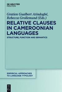 bokomslag Relative Clauses in Cameroonian Languages
