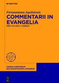 bokomslag Commentarii in evangelia