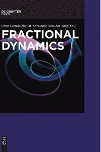 bokomslag Fractional Dynamics