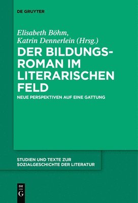 bokomslag Der Bildungsroman im literarischen Feld