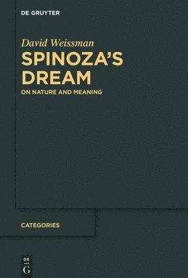bokomslag Spinozas Dream