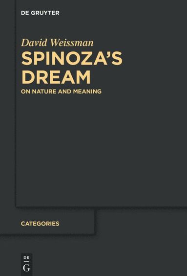 bokomslag Spinozas Dream