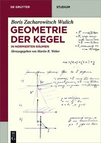 bokomslag Geometrie der Kegel