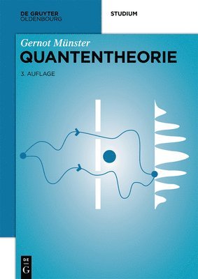 Gernot Münster - Quantentheorie, Häftad