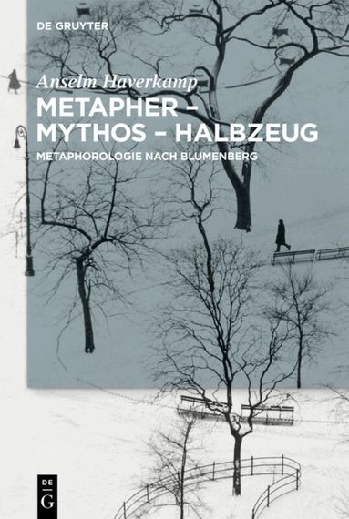 Anselm Haverkamp - Metapher – Mythos – Halbzeug, Inbunden
