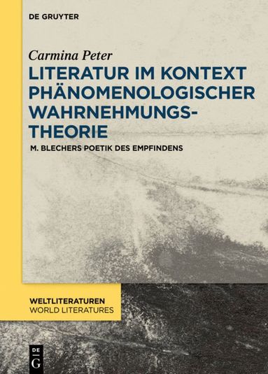 Carmina Peter - Literatur im Kontext phänomenologischer Wahrnehmungstheorie, Inbunden