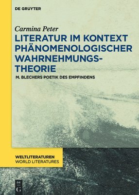 bokomslag Literatur im Kontext phnomenologischer Wahrnehmungstheorie