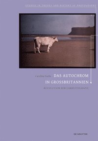 bokomslag Das Autochrom in Großbritannien