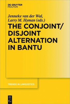 bokomslag The Conjoint/Disjoint Alternation in Bantu