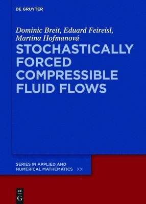 Stochastically Forced Compressible Fluid Flows 1