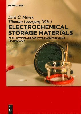 bokomslag Electrochemical Storage Materials