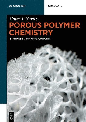 bokomslag Porous Polymer Chemistry: Synthesis and Applications
