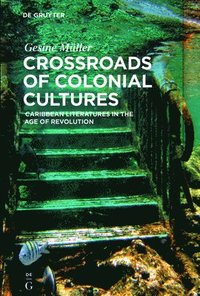 bokomslag Crossroads of Colonial Cultures