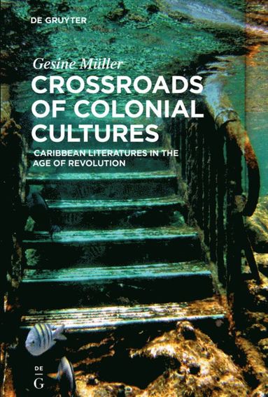 bokomslag Crossroads of Colonial Cultures