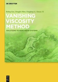 bokomslag Vanishing Viscosity Method