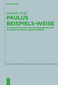 bokomslag Paulus beispiels-weise