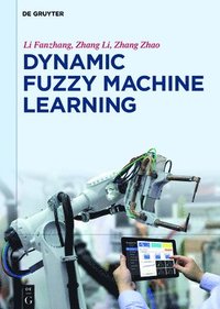 bokomslag Dynamic Fuzzy Machine Learning