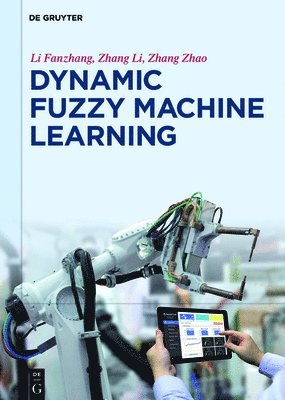 Dynamic Fuzzy Machine Learning 1