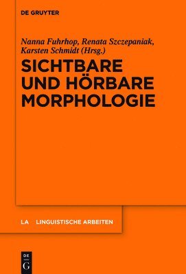 bokomslag Sichtbare und hrbare Morphologie