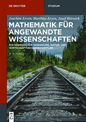 bokomslag Mathematik fr angewandte Wissenschaften