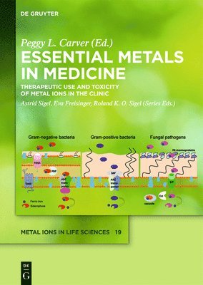 bokomslag Essential Metals in Medicine: Therapeutic Use and Toxicity of Metal Ions in the Clinic