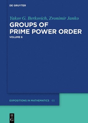 Yakov G. Berkovich, Zvonimir Janko - Groups of Prime Power Order. Volume 6, Inbunden