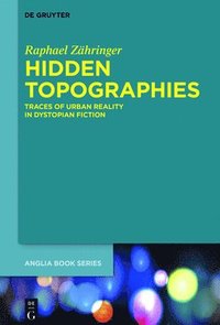 bokomslag Hidden Topographies