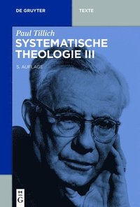 bokomslag Systematische Theologie III