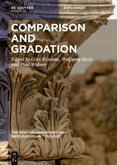 Götz Keydana, Wolfgang Hock, Paul Widmer - Comparison and Gradation in Indo-European, Inbunden