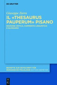 bokomslag Il Thesaurus pauperum pisano