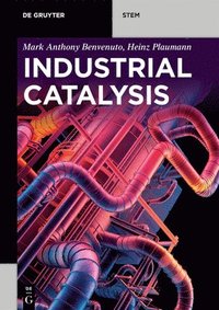 bokomslag Industrial Catalysis