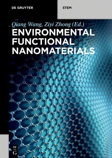 Qiang Wang, Ziyi Zhong - Environmental Functional Nanomaterials, Häftad