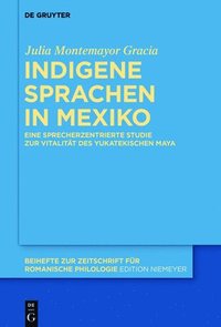 bokomslag Indigene Sprachen in Mexiko