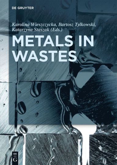 bokomslag Metals in Wastes