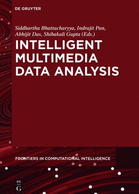 Intelligent Multimedia Data Analysis 1