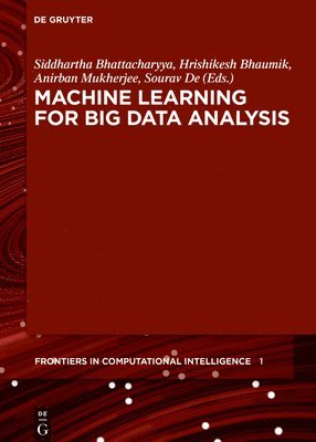 bokomslag Machine Learning for Big Data Analysis