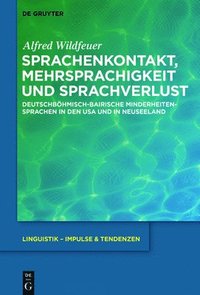 bokomslag Sprachenkontakt, Mehrsprachigkeit und Sprachverlust