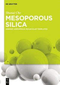 bokomslag Mesoporous Silica