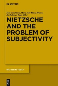 bokomslag Nietzsche and the Problem of Subjectivity