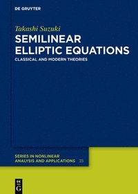 bokomslag Semilinear Elliptic Equations