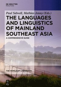 bokomslag The Languages and Linguistics of Mainland Southeast Asia