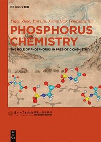 bokomslag Phosphorus Chemistry