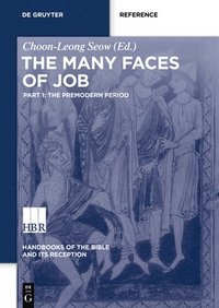 bokomslag The Many Faces of Job