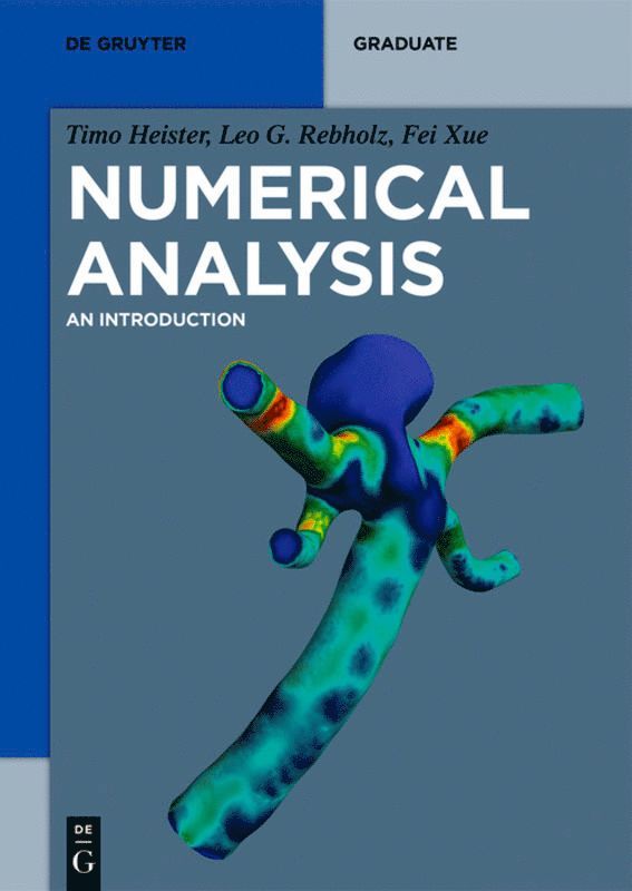 Timo Heister, Leo G. Rebholz, Fei Xue - Numerical Analysis, Häftad