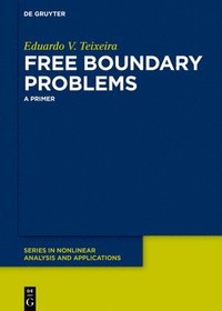 bokomslag Free Boundary Problems