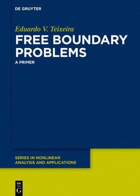 Eduardo V. Teixeira - Free Boundary Problems, Inbunden