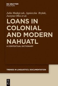 bokomslag Loans in Colonial and Modern Nahuatl