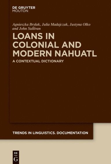 bokomslag Loans in Colonial and Modern Nahuatl